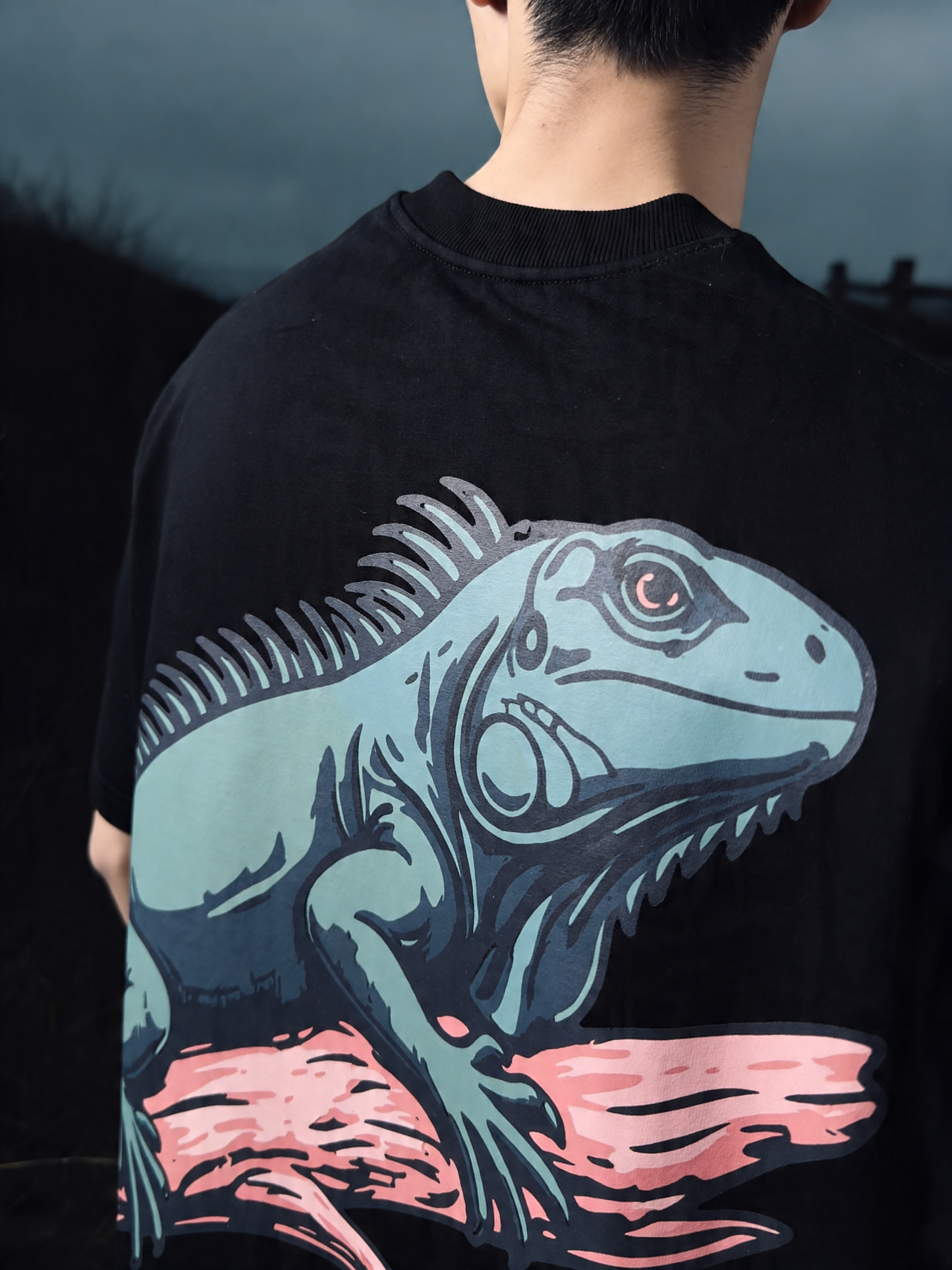 Territory — IGUANA