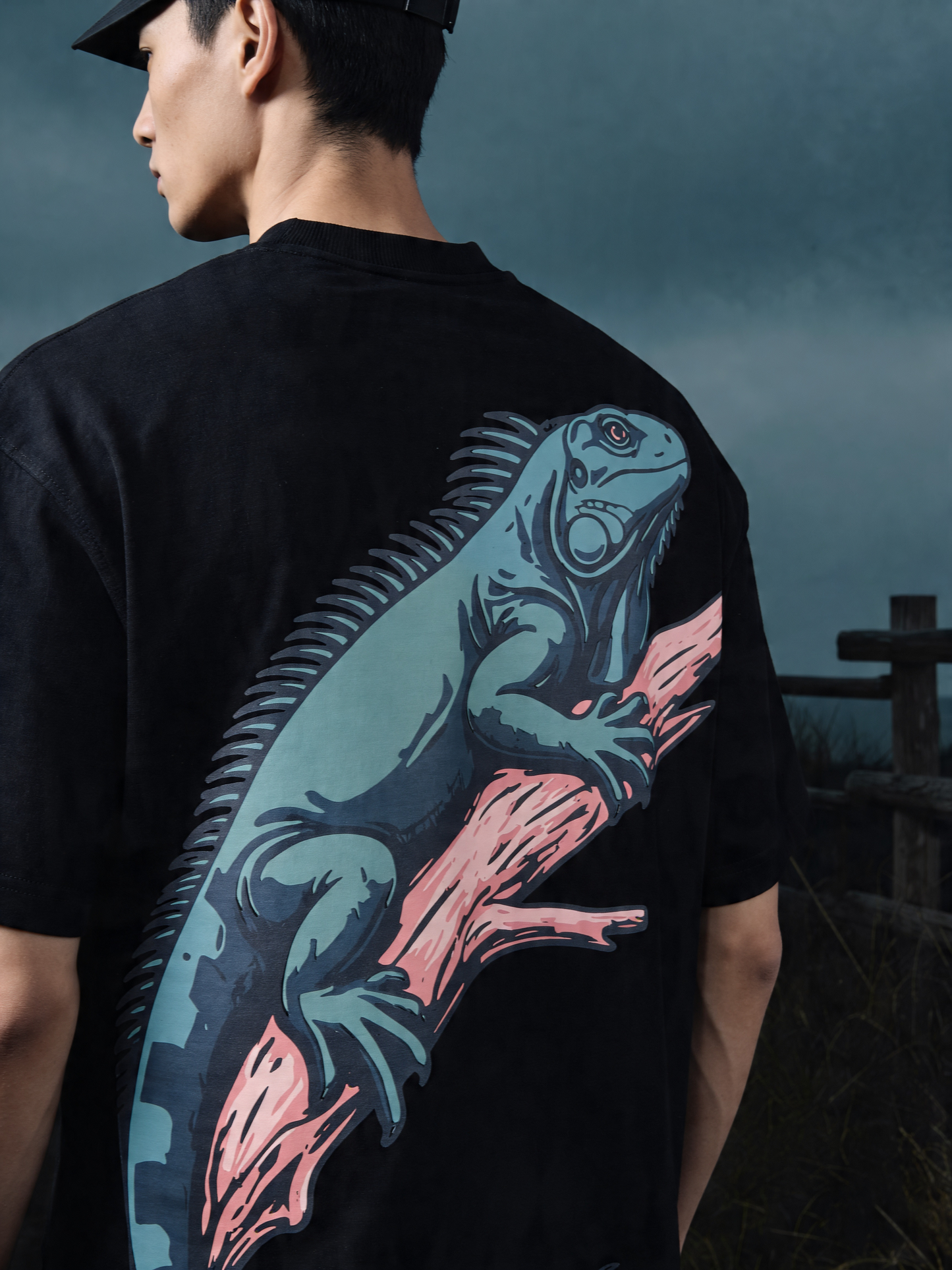 Territory — IGUANA
