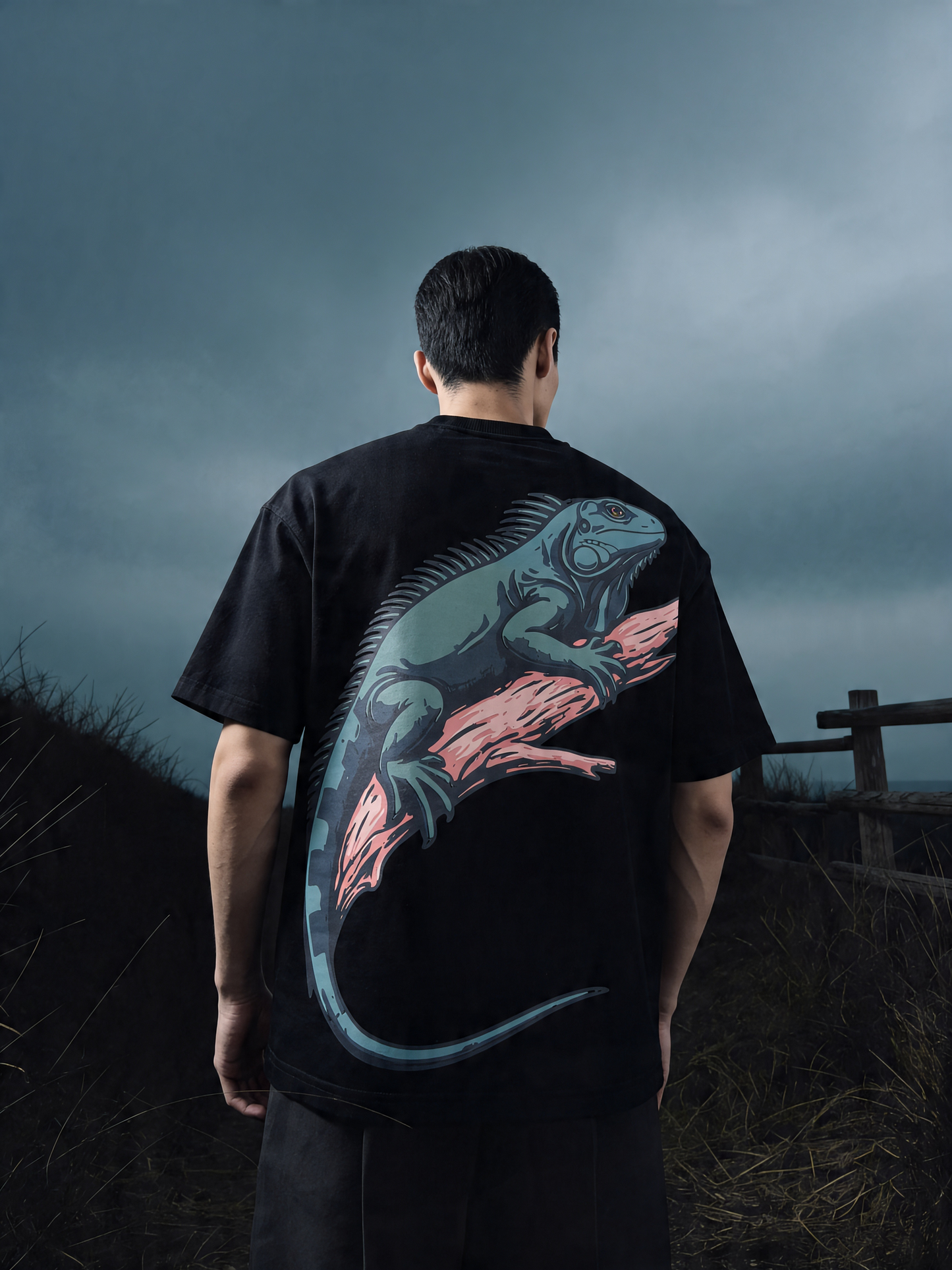 Territory — IGUANA